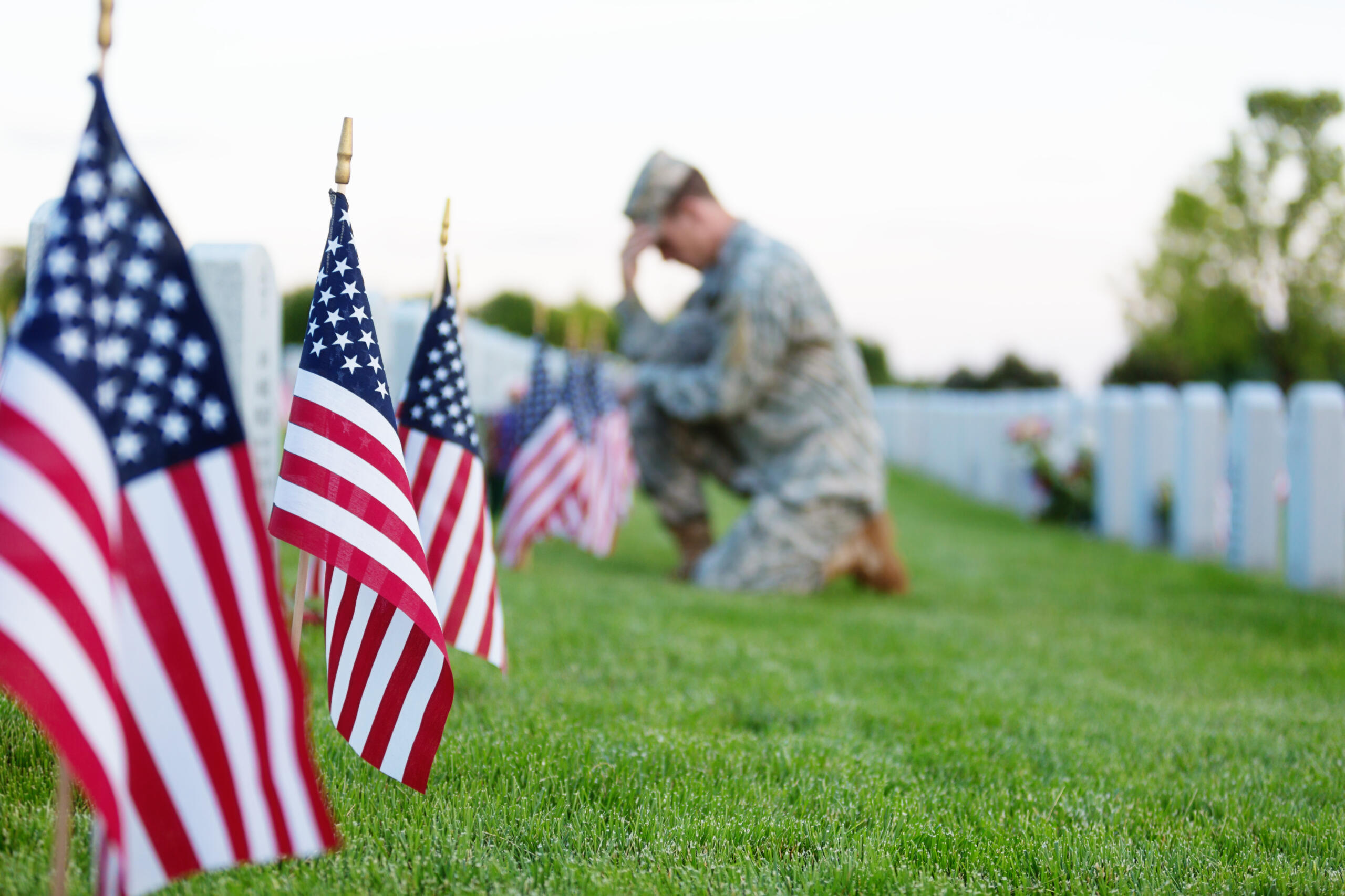 Memorial Day Meaning Must Haves Items Hamrick #39 s Inc Memorial Day Meaning Must Haves Items Hamrick #39 s Inc