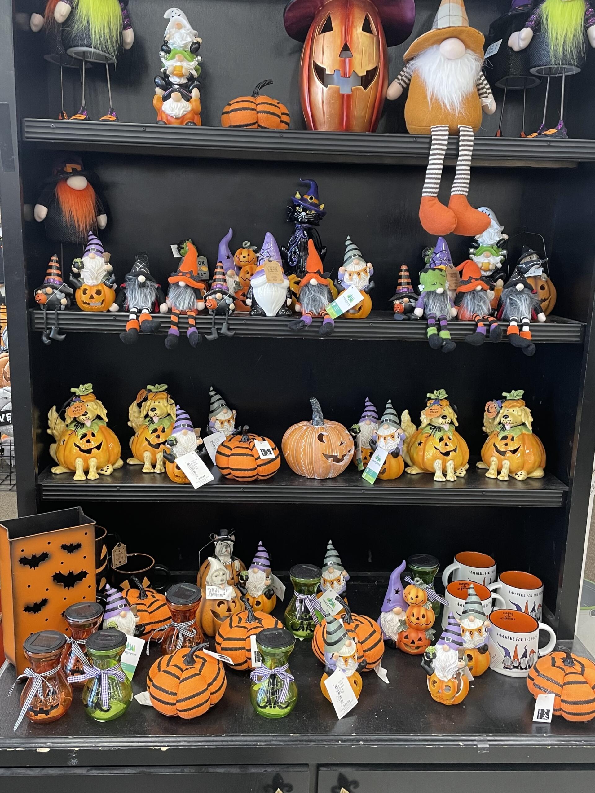 Bewitching Halloween Décor Ideas for Your Home Hamrick's, Inc.