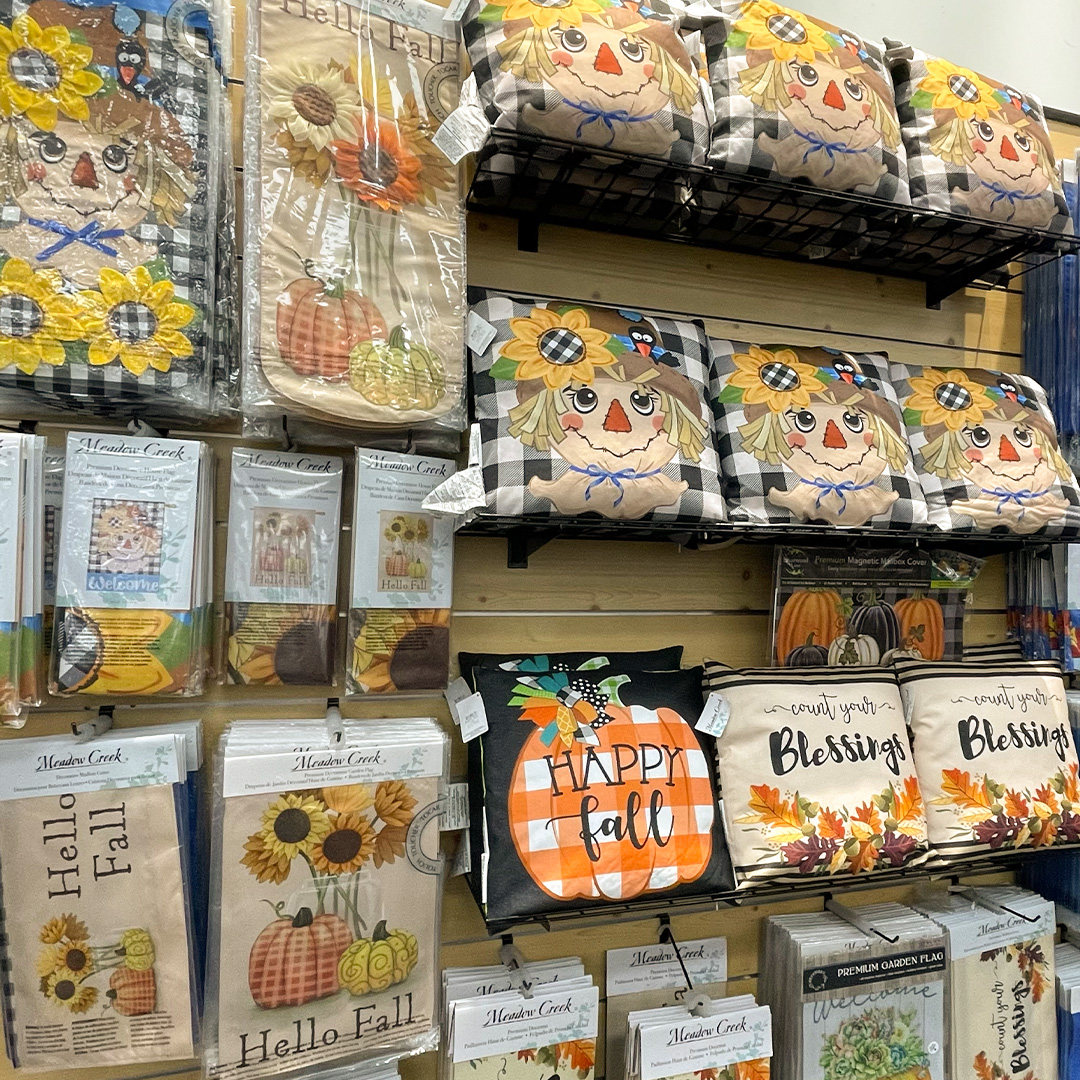 Shop These Fall Fashion & Home Goods Must Haves - Hamrick's, Inc.
